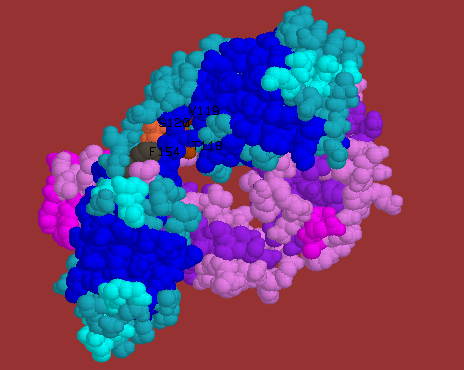 Antibody-antigen binding