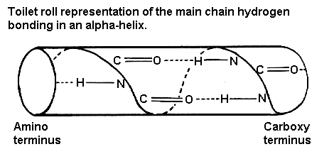 Alpha Helix Geometry Part 2