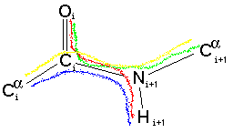 peptide bond schematic