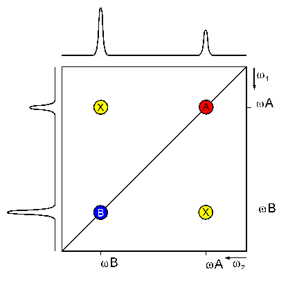 scheme of a 2D NMR spectrum