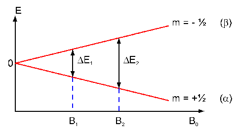 energy of spin levels depending on B0