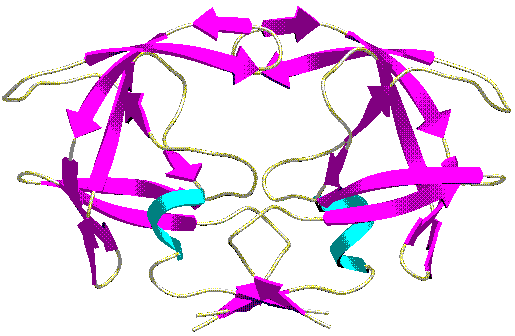 good presentation of a protein structure