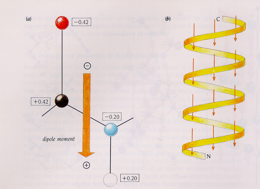 dip01.gif
