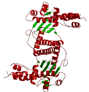 Ydc2