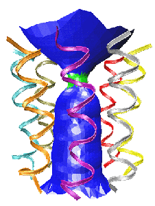 TRICHOTOXIN_CHANNELS