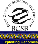 Microarrays to soluble proteins: exploitation of expression profiling through high throughput protein production at the BCSB.